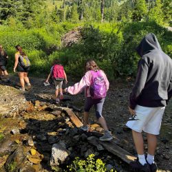 14DE5C86-A881-4CAE-9363-393DE465BCFA2025-07-02_09-28-44_292